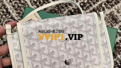 고야드 플뤼메 크로스백 SIZE 19*11cm 검수사진✔ ☆☆☆☆☆