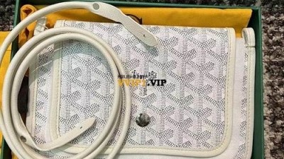 고야드 플뤼메 크로스백 SIZE 19*11cm 검수사진✔ ☆☆☆☆☆